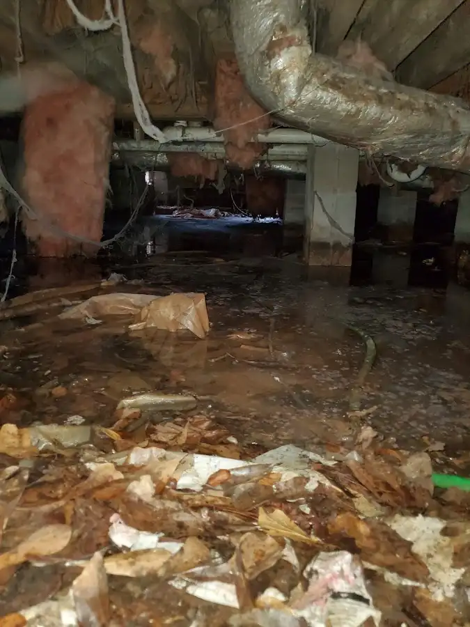 Crawl space flood assessment for Leak Detection & Repair in DeRidder