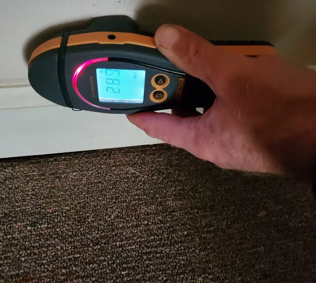 Moisture detection at baseboard during Mold Inspection & Testing in DeRidder